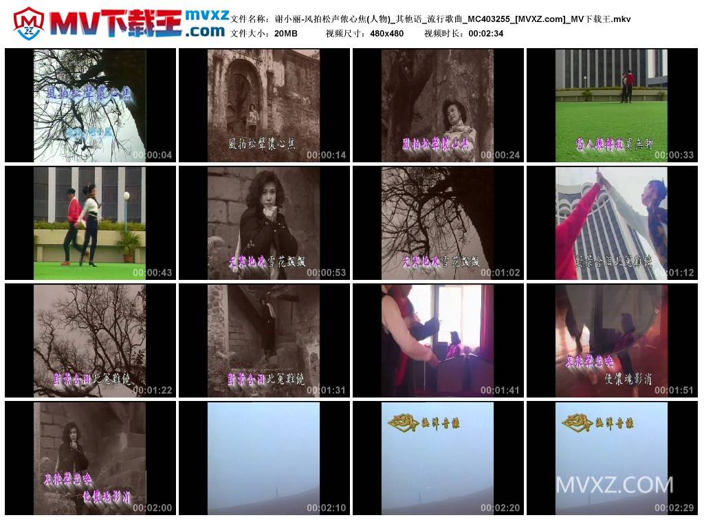 谢小丽-风拍松声侬心焦(人物)_其他语_流行歌曲_MC403255